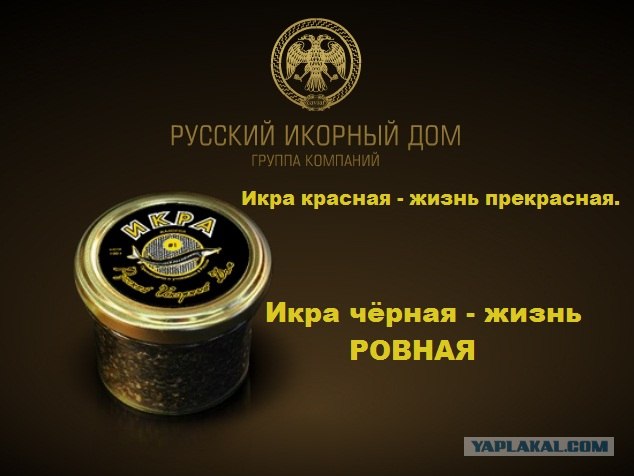 Выиграй 3кг черной икры!