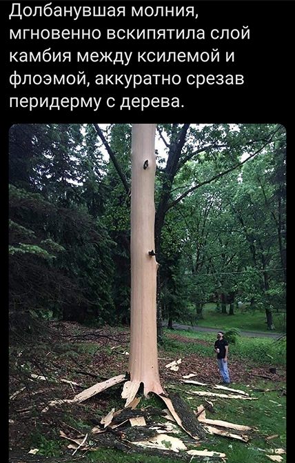Картинки с надписями и всякие жизненные фразы 9.01.21