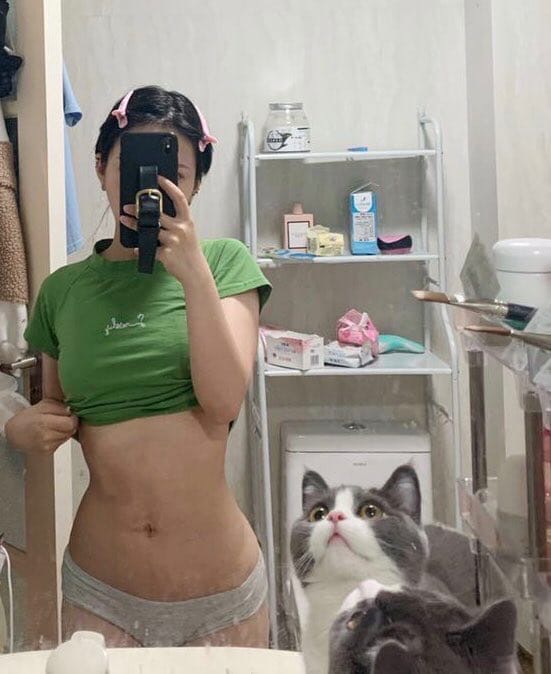 Девушки котовторника