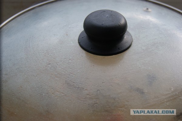 Фасоль – International, Или «Веселые нотки»