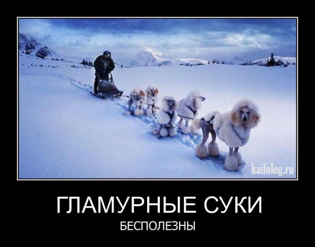 Баянисто-небаянистый юмор 19.10.21