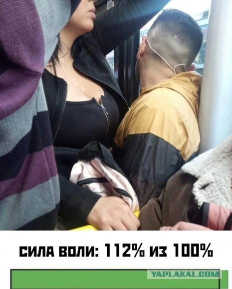 Подборка смешных картинок на ночь 31.10.22