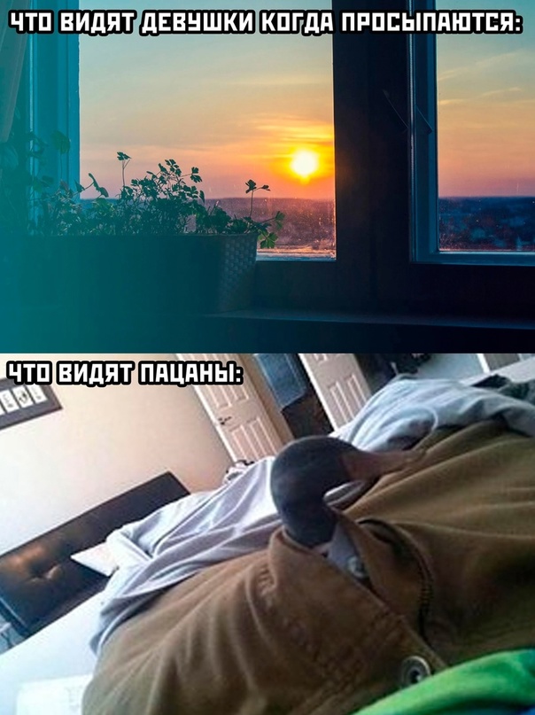 Картинки и мемы. Выходные близко...