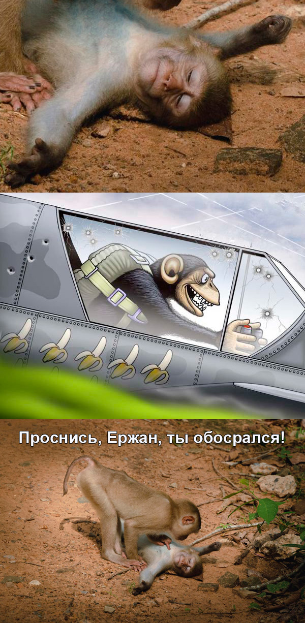 Комедийная Фотография Природы 2025