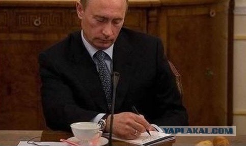 Окопный дневник мобилизованного свердловчанина: «На нейтральной полосе тихо и страшно, как в сказочном лесу»