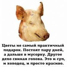 Дичь