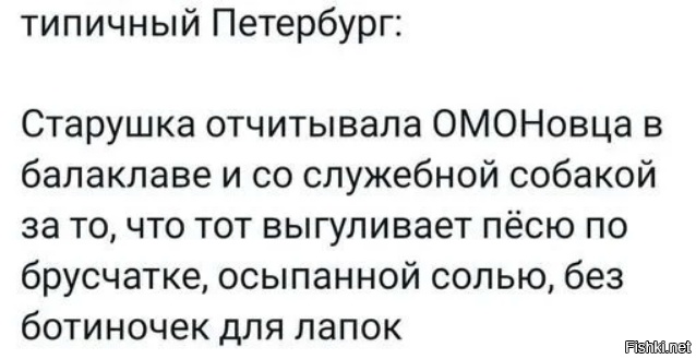 Весёлый полтишок 18.01.24