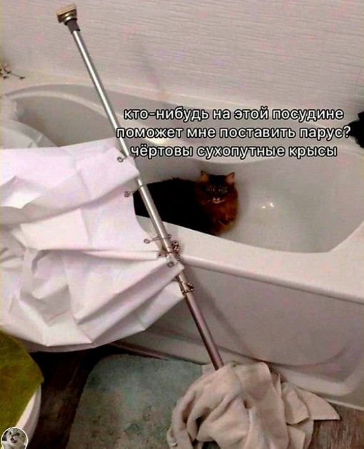 Юмор в картинках за пол дня и клуб приемных детей
