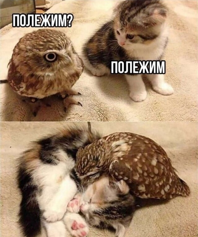 Для настроения