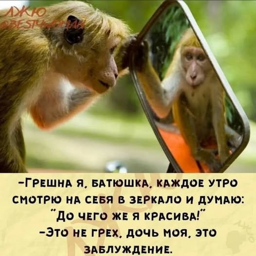 Картинки для деградации 56 (разной степени свежести)