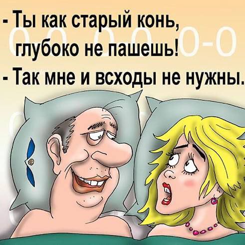 Забавные и не очень скромные картинки - 21