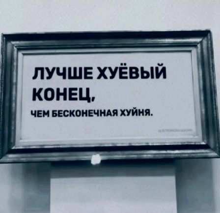 Мой кот