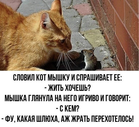 Вторника картинки