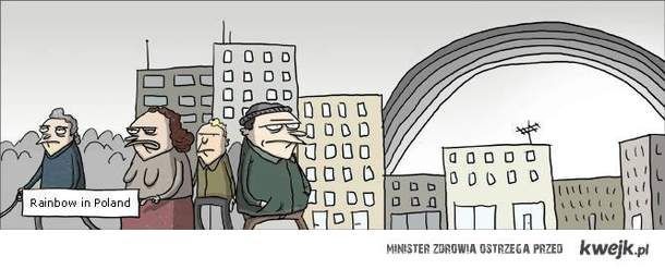 В Польше каждый год проводят живые ролевые игры, где участники притворяются американцами