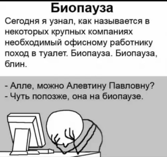 Картиночки, баянчики 14 июня