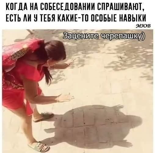 Картинки для деградации 288 (разной степени свежести)