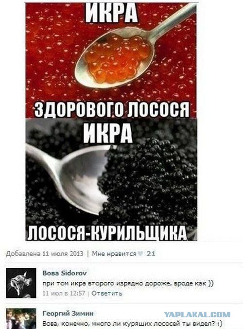 Смешные комментарии из социальных сетей