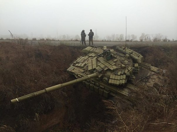 Тарутена ловушка в действии!