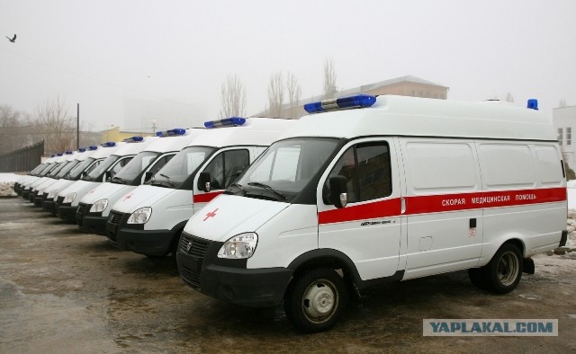 Тонированые товарищи нам товарищи?