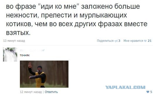 Смешные комментарии из социальных сетей