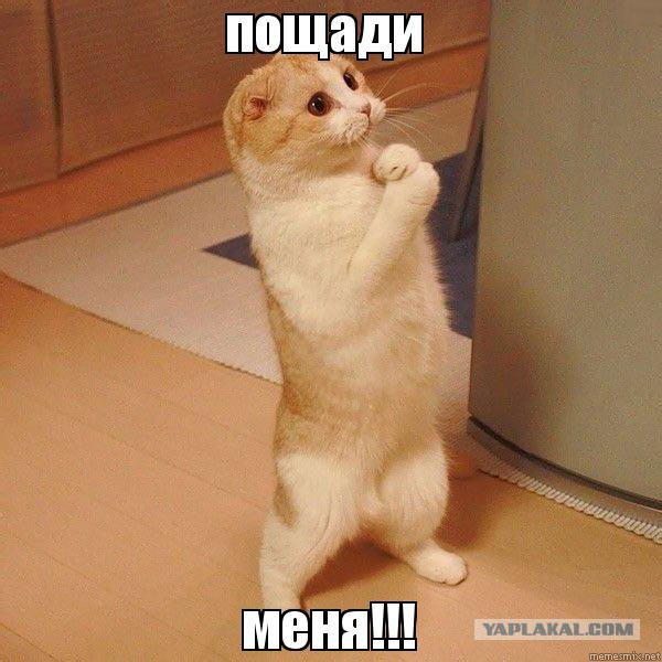 Профилактика! С 8-ми часов утра будут забанены