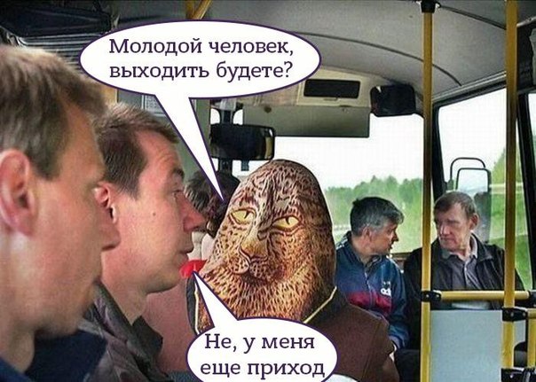 Присмотритесь к фото