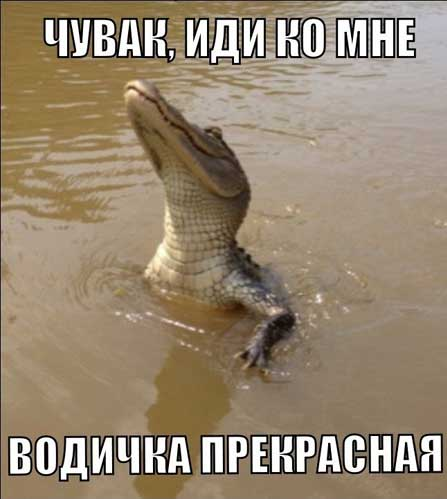 Без трусов в реку не заходить!