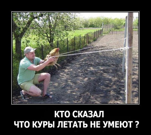 Подборка Картинок из сети