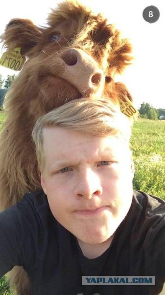 Под вечер, вторника.
