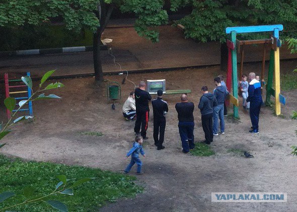 Картинки из ваших интернетов, 18+