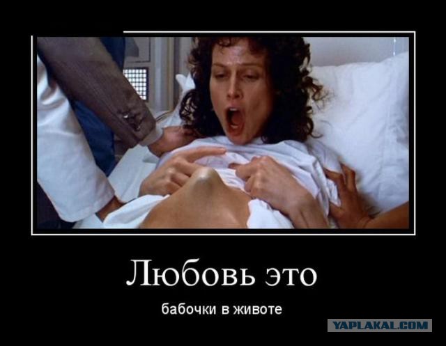 Картинки из сети, бессмысленные и беспощадные