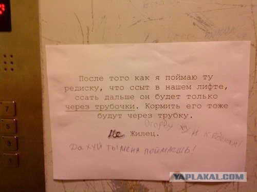 Смешные картинки с надписями