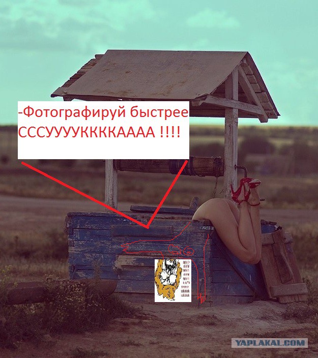 Порция картинок из сети