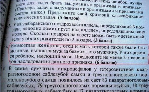 Детские учебники, авторам которых точно пора в отпуск