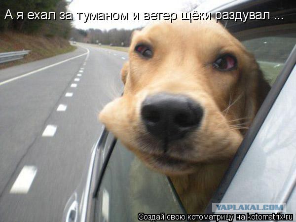 Блокиратор лобового стекла Barnacle заставит заплатить за неправильную парковку