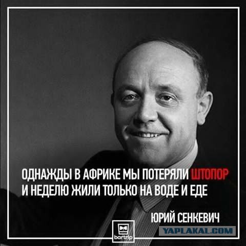 80 лет со дня рождения Юрия Сенкевича