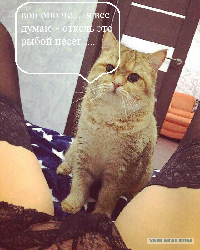 Настало время интересных картинок!