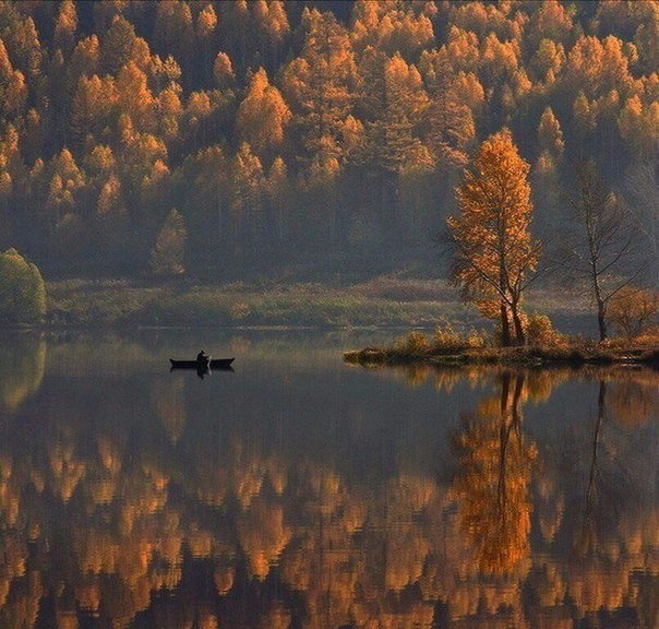 Красивые изображения