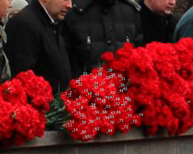 10 тысяч алых цветов возложено к могиле Сталина в Москве