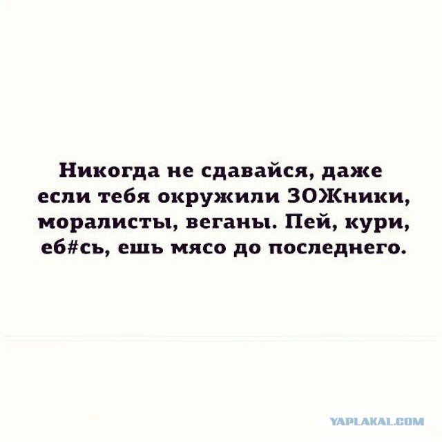 Мысли о ЗОЖ