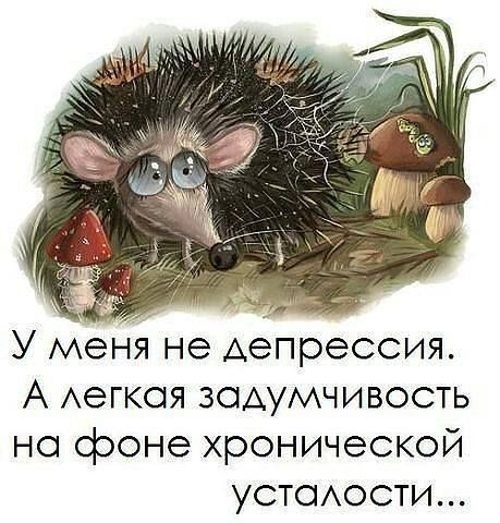 Клуб людей ненавидящих понедельники