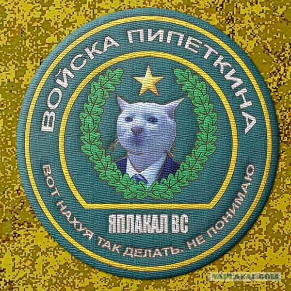 Для чего нужны понты и их роль в обществе. Кто понты колотит , а кто на понторезах заколачивает