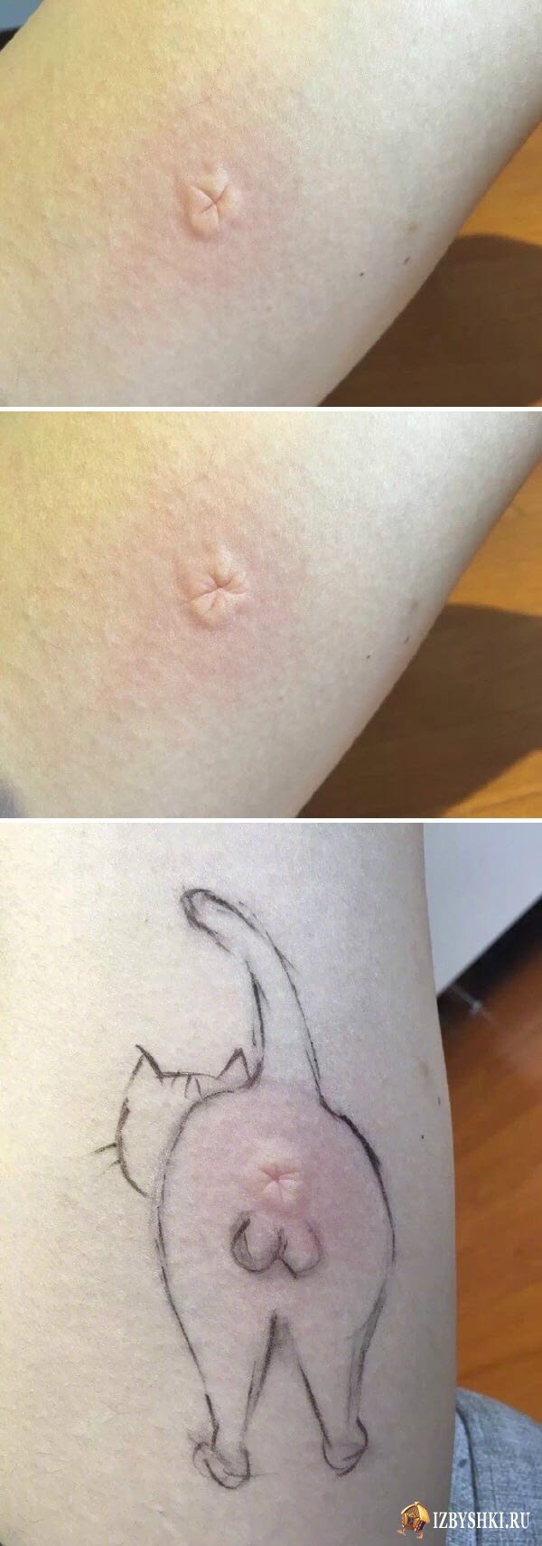 Нестандартный юмор