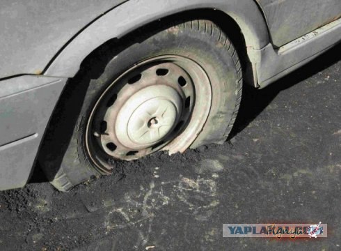 ЖКХ спасли газон от парковщиков