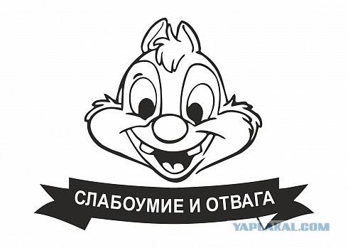 Симпатичные и рисковые скейтерши на горном спуске по серпантину