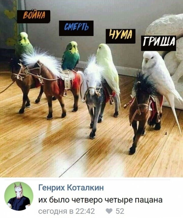 Нестандартный юмор