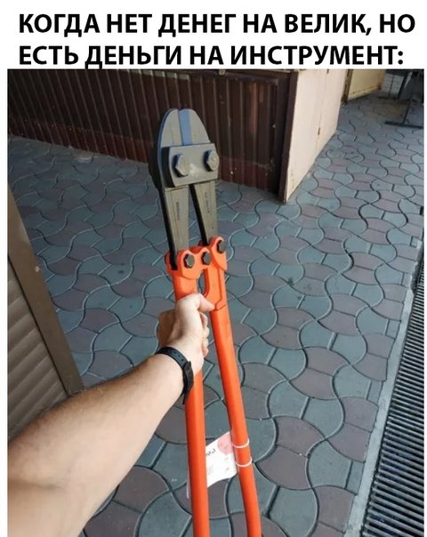 Картинки веселые и интересные