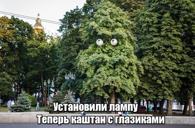 Нестандартный юмор