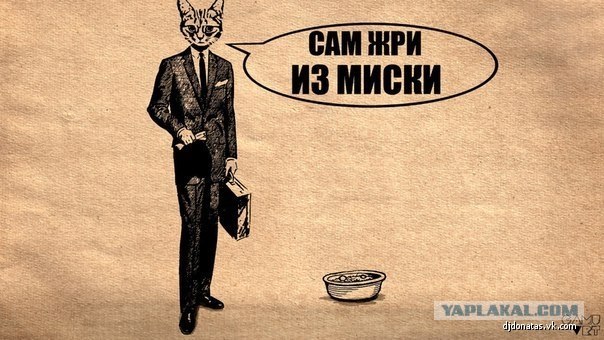 Котовторник! 13.03.2012