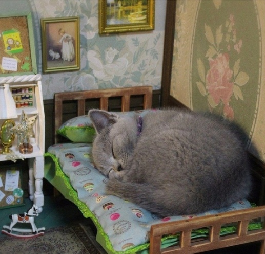 Прикольных котов пост